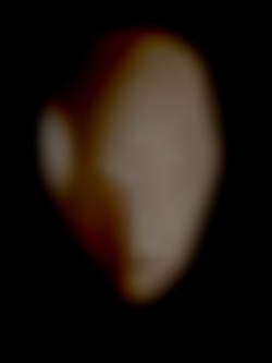 Member Image