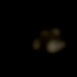 Member Image