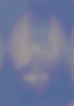 Member Image