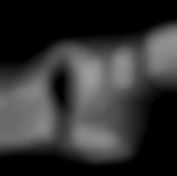 Member Image