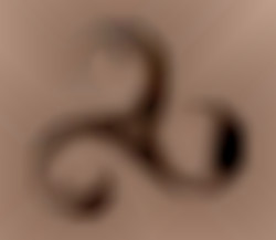 Member Image