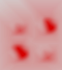 Member Image
