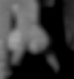 Member Image