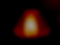 Member Image