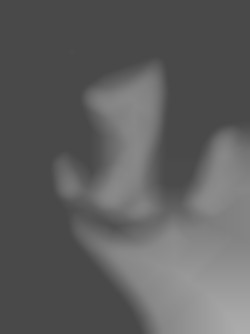 Member Image