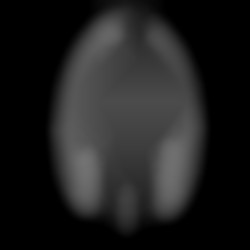 Member Image