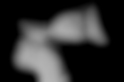 Member Image