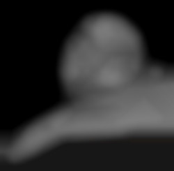 Member Image