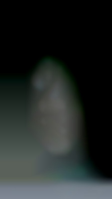 Member Image