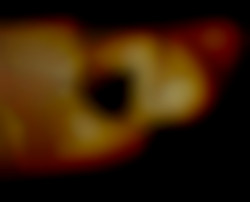 Member Image