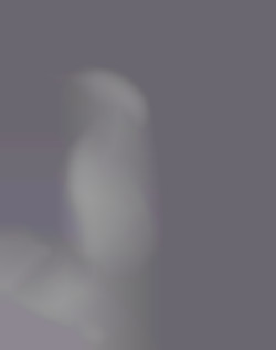 Member Image