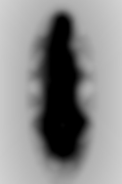 Member Image