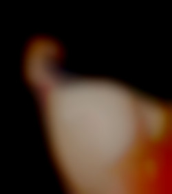 Member Image
