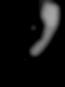 Member Image