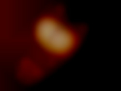 Member Image