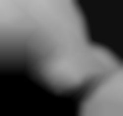 Member Image