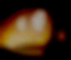 Member Image