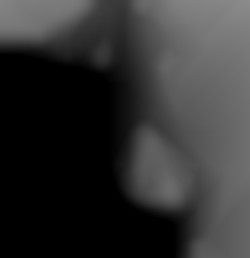 Member Image