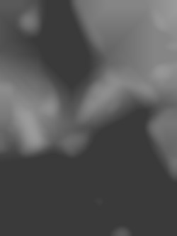 Member Image