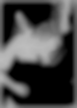 Member Image