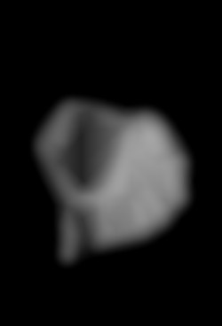 Member Image