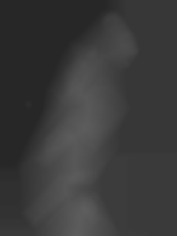 Member Image