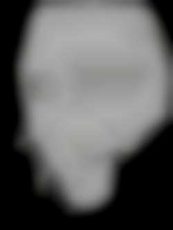 Member Image