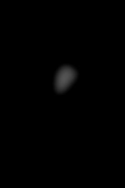 Member Image
