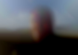 Member Image
