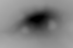Member Image