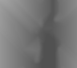 Member Image