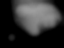 Member Image
