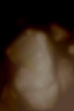 Member Image