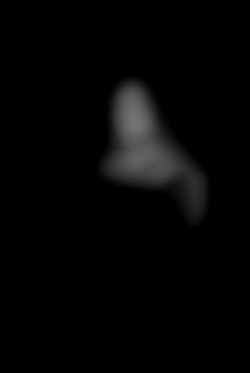Member Image