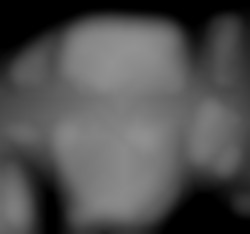 Member Image