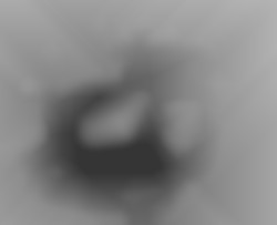 Member Image