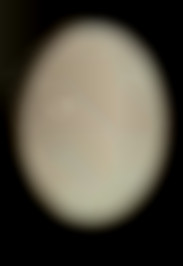 Member Image