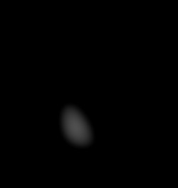 Member Image