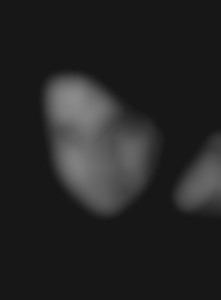 Member Image