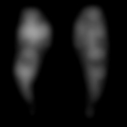 Member Image
