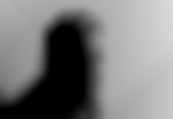 Member Image