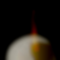 Member Image