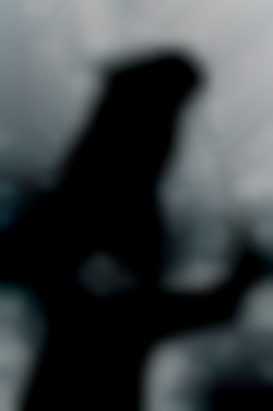 Member Image