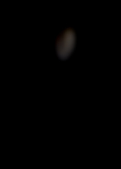 Member Image