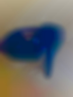 Member Image