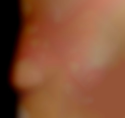 Member Image