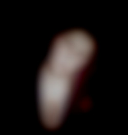 Member Image