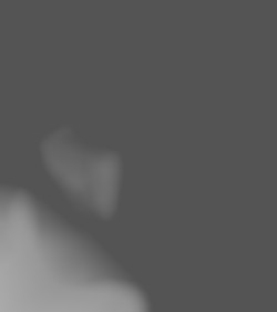 Member Image