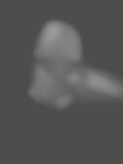 Member Image