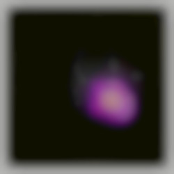 Member Image